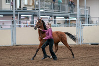 2020 - AB Morgan Horse - Fri, Sept 04 - 07594