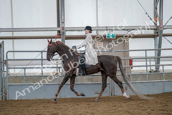 July 20, 2019 - 14673