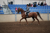 2019 Morgan Horse Show - Aug 31, 2019 - 13782