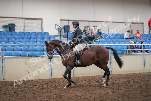 2019 Morgan Horse Show - Aug 30, 2019 - 29220