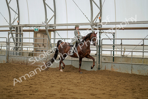 July 20, 2019 - 03786