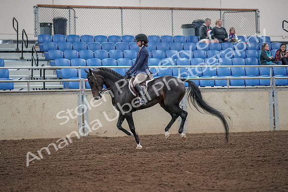 2019 Morgan Horse Show - Aug 31, 2019 - 05134