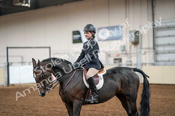 2020 - AB Morgan Horse - Fri, Sept 04 - 02079