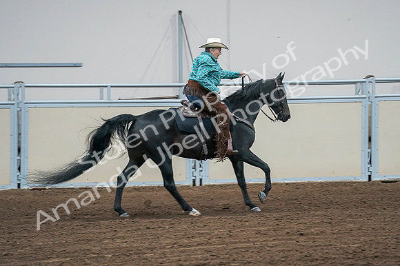 2020 - AB Morgan Horse - Fri, Sept 04 - 00495