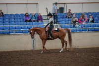 2019 Morgan Horse Show - Aug 30, 2019 - 25870