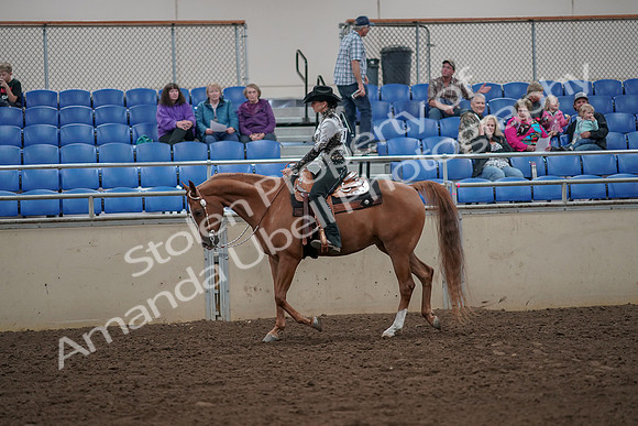 2019 Morgan Horse Show - Aug 30, 2019 - 25870