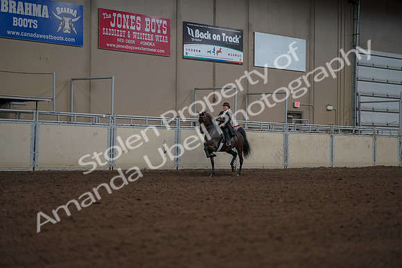 2019 Morgan Horse Show - Aug 30, 2019 - 28278