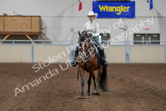 2020 - AB Morgan Horse - Sun, Sept 06 - 07607