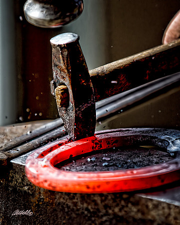 Farrier - 031