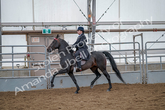 July 20, 2019 - 14477