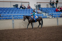 2019 Morgan Horse Show - Aug 31, 2019 - 16300