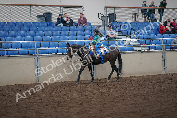 2019 Morgan Horse Show - Aug 31, 2019 - 16300
