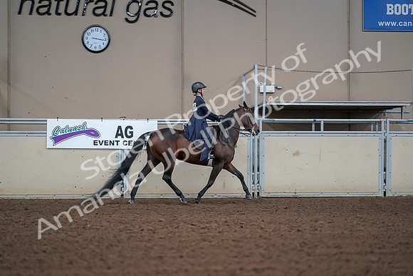 2019 Morgan Horse Show - Aug 30, 2019 - 17964