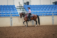 2019 Morgan Horse Show - Aug 30, 2019 - 22702