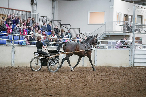 Spring Fling - Saturday - April 20, 2019  -  00283