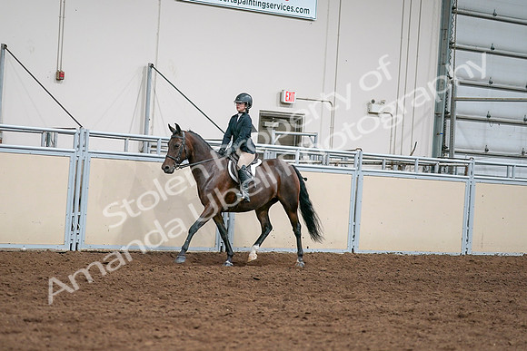 2020 - AB Morgan Horse - Sat, Sept 05 - 04953