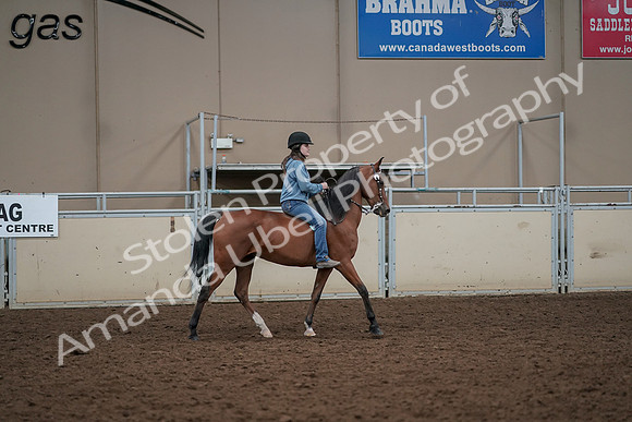2019 Morgan Horse Show - Aug 30, 2019 - 31430