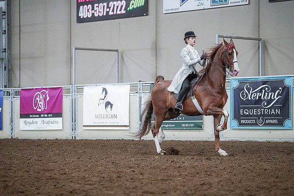 Spring Fling - Saturday - April 20, 2019  -  00541