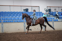 2019 Morgan Horse Show - Aug 30, 2019 - 17778