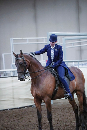 Spring Fling - Saturday - April 20, 2019  -  00847