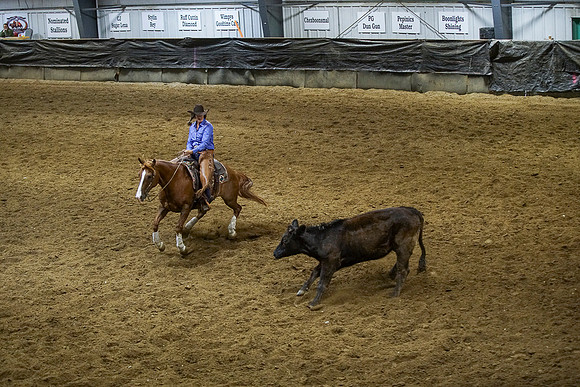 DSC01861