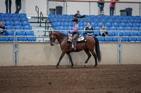 2019 Morgan Horse Show - Sept 01, 2019 - 06762