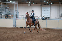 2020 - AB Morgan Horse - Fri, Sept 04 - 06229