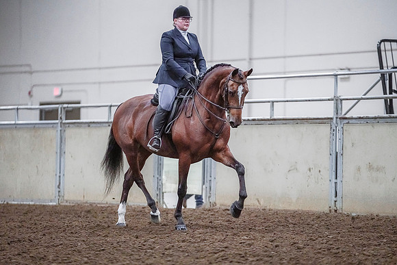 Spring Fling - Saturday - April 20, 2019  -  03801
