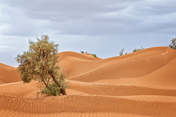 Morocco - 109