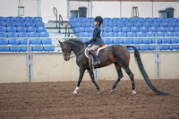 2019 Morgan Horse Show - Sept 01, 2019 - 05482