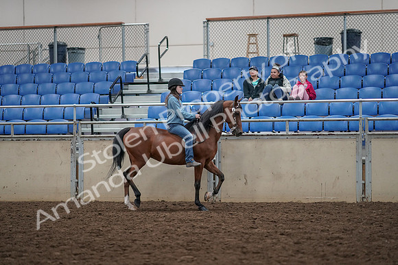 2019 Morgan Horse Show - Aug 30, 2019 - 31344
