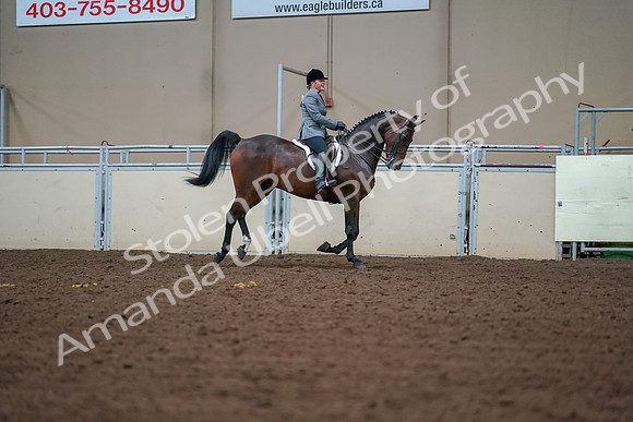 2019 Morgan Horse Show - Aug 30, 2019 - 21015