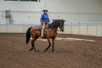2020 - AB Morgan Horse - Fri, Sept 04 - 00016
