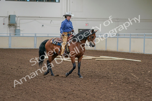 2020 - AB Morgan Horse - Fri, Sept 04 - 00016