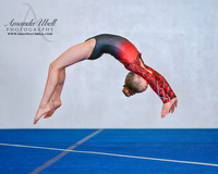 Fort Sask Gymnastics 2019 - Feb 17, 2019 - logo - 02613