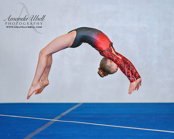 Fort Sask Gymnastics 2019 - Feb 17, 2019 - logo - 02613