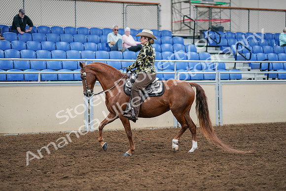 2020 - AB Morgan Horse - Sat, Sept 05 - 08895