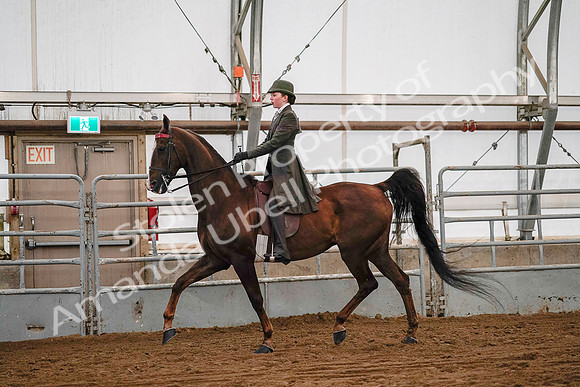 July 19, 2019 - 8907