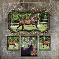 Collage 4 photo 12x12