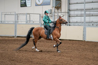2020 - AB Morgan Horse - Fri, Sept 04 - 08682