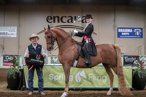 Spring Fling - Saturday - April 20, 2019  -  04440