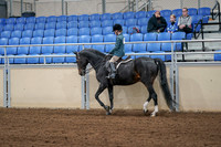 2020 - AB Morgan Horse - Fri, Sept 04 - 07738