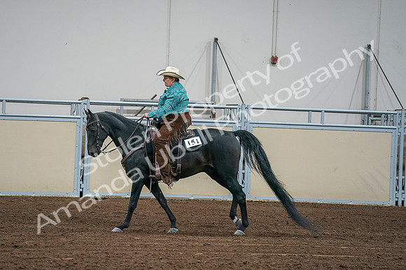 2020 - AB Morgan Horse - Fri, Sept 04 - 00600