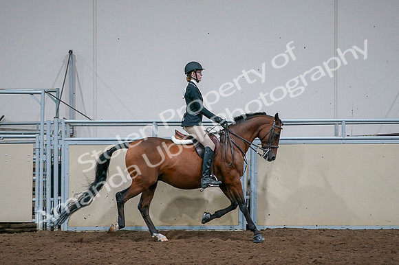 2020 - AB Morgan Horse - Fri, Sept 04 - 06025