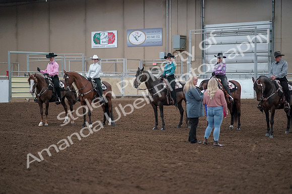 2019 Morgan Horse Show - Sept 01, 2019 - 07237
