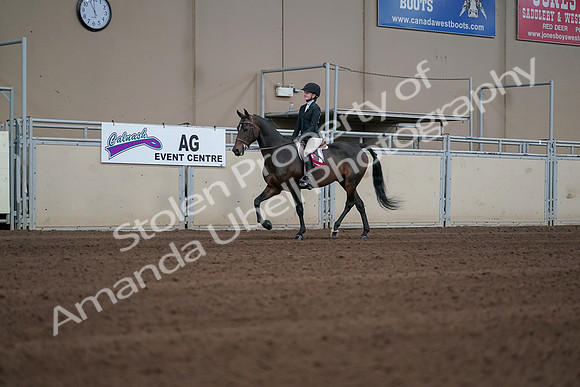 2019 Morgan Horse Show - Sept 01, 2019 - 03963