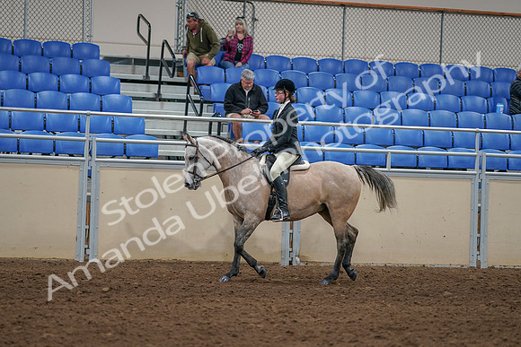2020 - AB Morgan Horse - Sat, Sept 05 - 01193