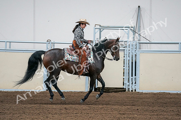 2020 - AB Morgan Horse - Fri, Sept 04 - 00421