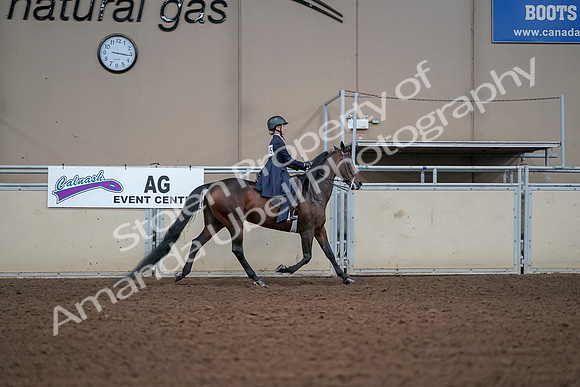 2019 Morgan Horse Show - Aug 30, 2019 - 17965