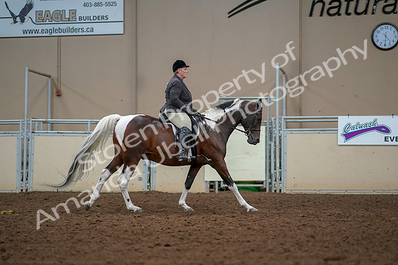 2019 Morgan Horse Show - Aug 30, 2019 - 22586